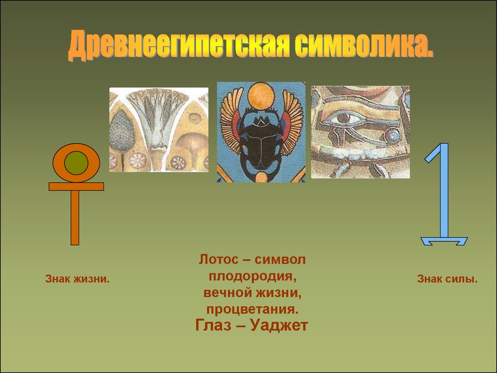 Привычной жизни 5 букв. Египетский символ плодородия. Символ солнца и вечной жизни.