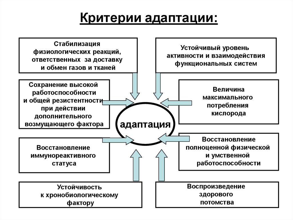 Критерии тела. Гигиенические критерии адаптации:. Схема адаптации к мышечной активности. Физиологические адаптации схема. Уровни адаптации физиология.