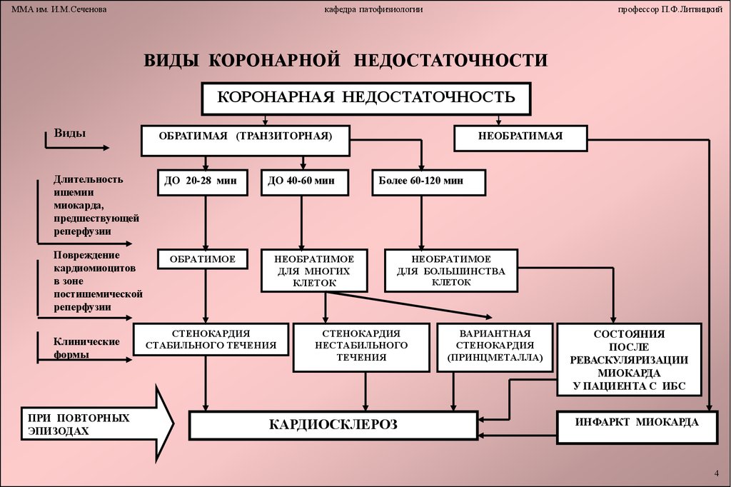 Аритмии патофизиология презентация