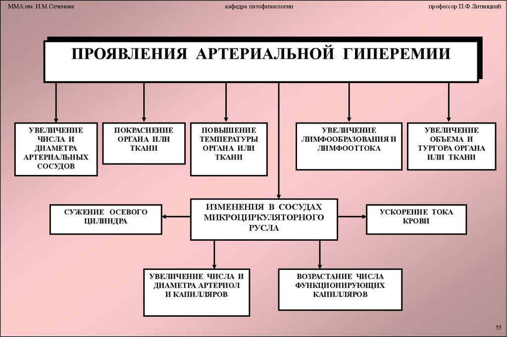 Виды гиперемии схема