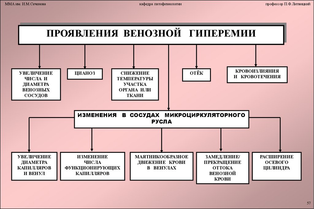 Признаки венозной гиперемии рисунок