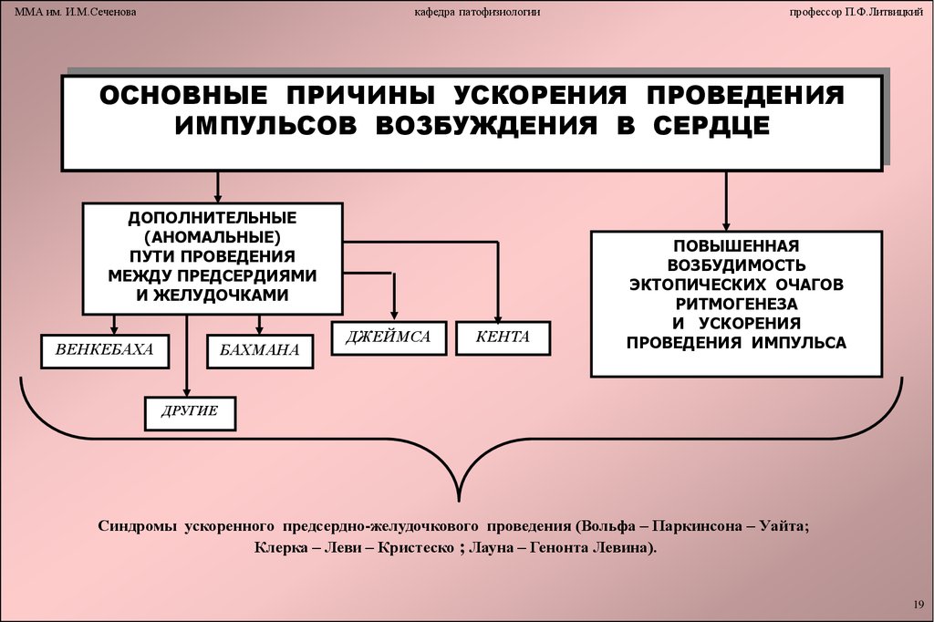 Аритмии патофизиология презентация