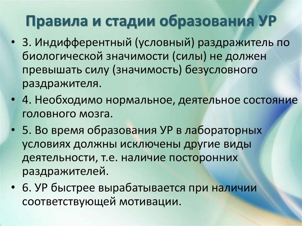 Этапы образования групп