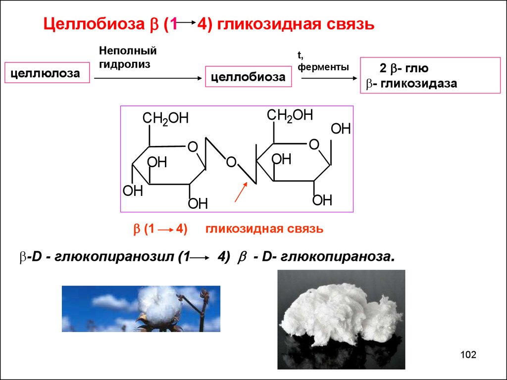 Целлюлоза изделия. Целлобиоза Тип гликозидной связи. Гидролиз целлюлозы формула. Целлюлоза Тип гликозидной связи. Целлюлоза и целлобиоза.