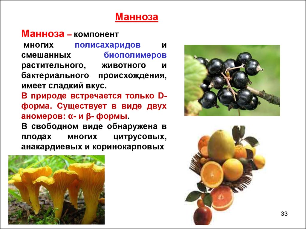 Примеры растительного происхождения. Полисахариды растительного происхождения. Манноза в природе. Полисахарид растительного происхождения продукты. Полисахариды животного и растительного происхождения.