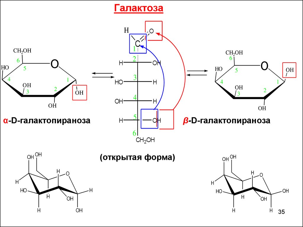 Галактоза. Формула Альфа д галактопиранозы. Β,D-галактопираноза формула. Α-D-галактопиранозил-1,4-β-d-галактопираноза. Альфа l галактопираноза формула.