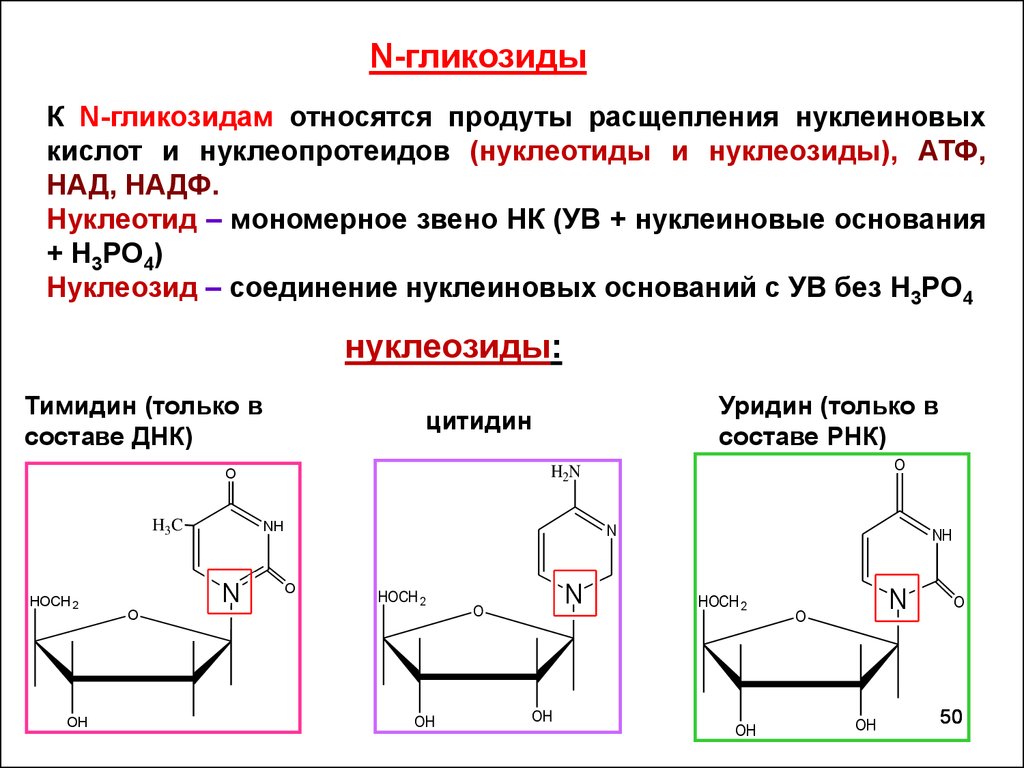 Расщепление нуклеиновых кислот. O гликозиды. Образование n гликозидов. N-гликозиды Синтез. Гидролиз n гликозидов.