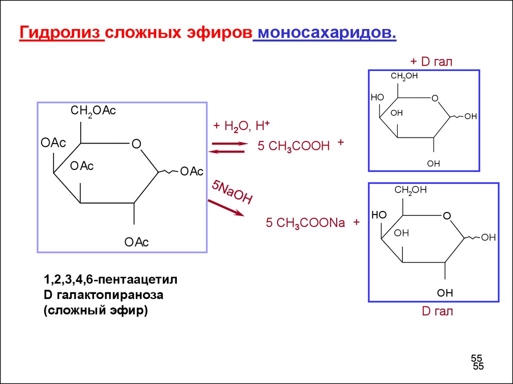 Гидролиз coona