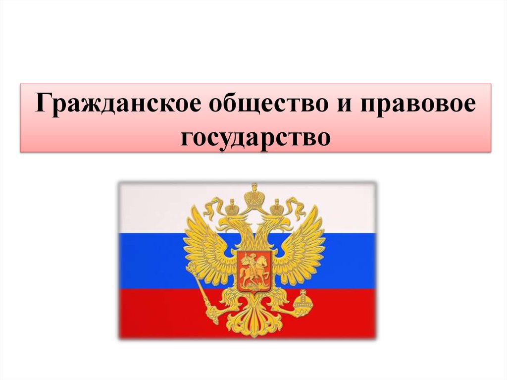 Гражданское общество и правовое государство картинки