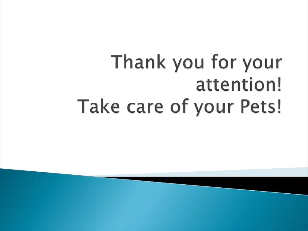 Thank you for your attention! Take care of your Pets!