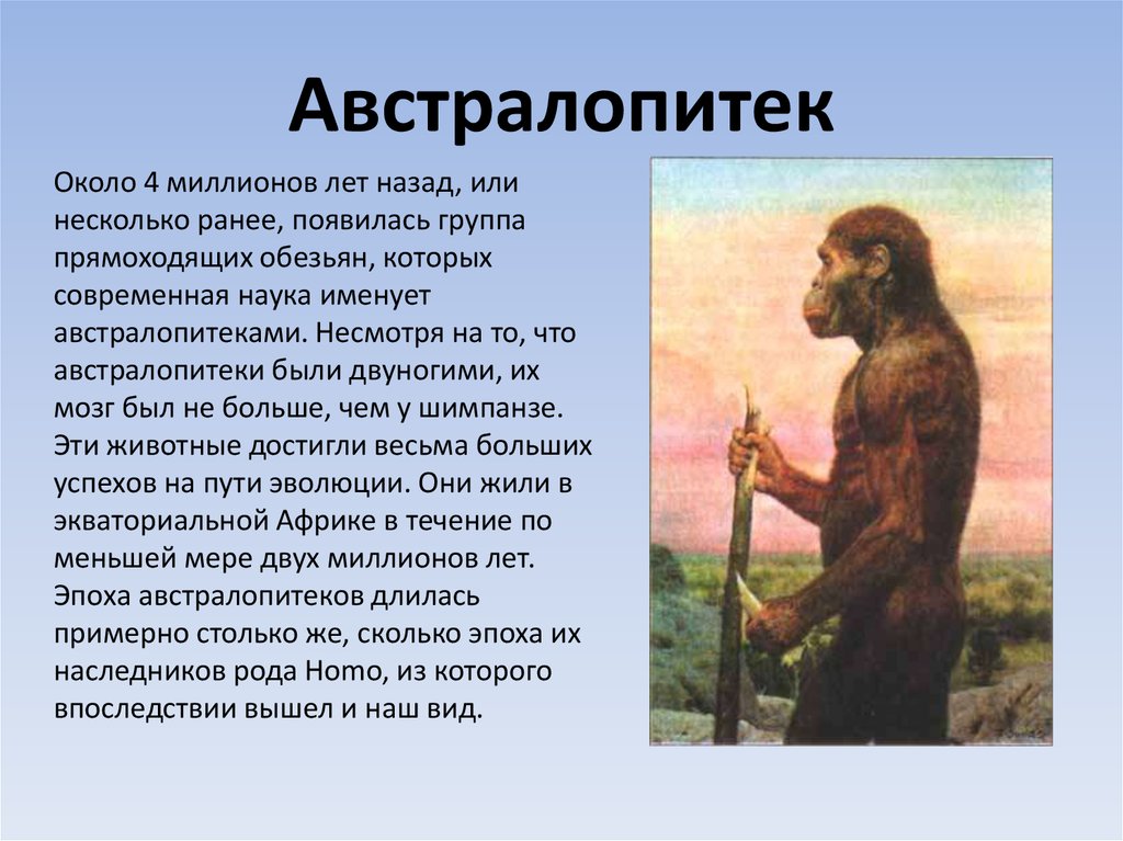 Австралопитеки презентация по биологии