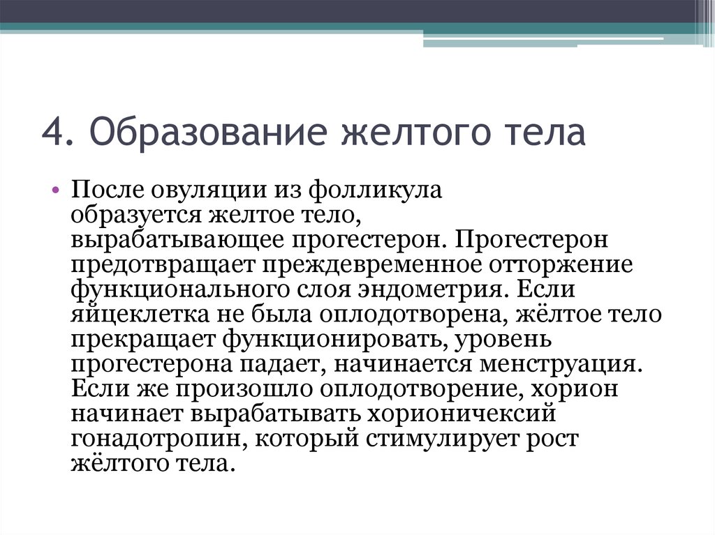 Желтые образования. Образование желтого тела. Образование желтого тела после овуляции. Формирование желтого тела после овуляции. Срок образования желтого тела.