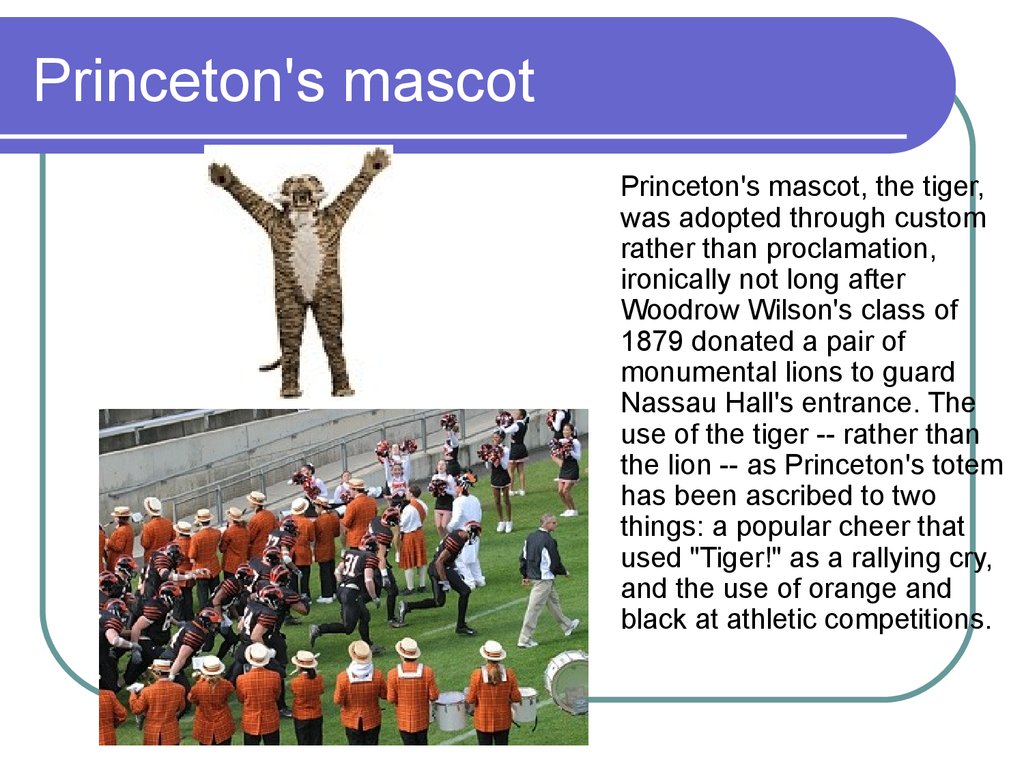 Princeton's mascot