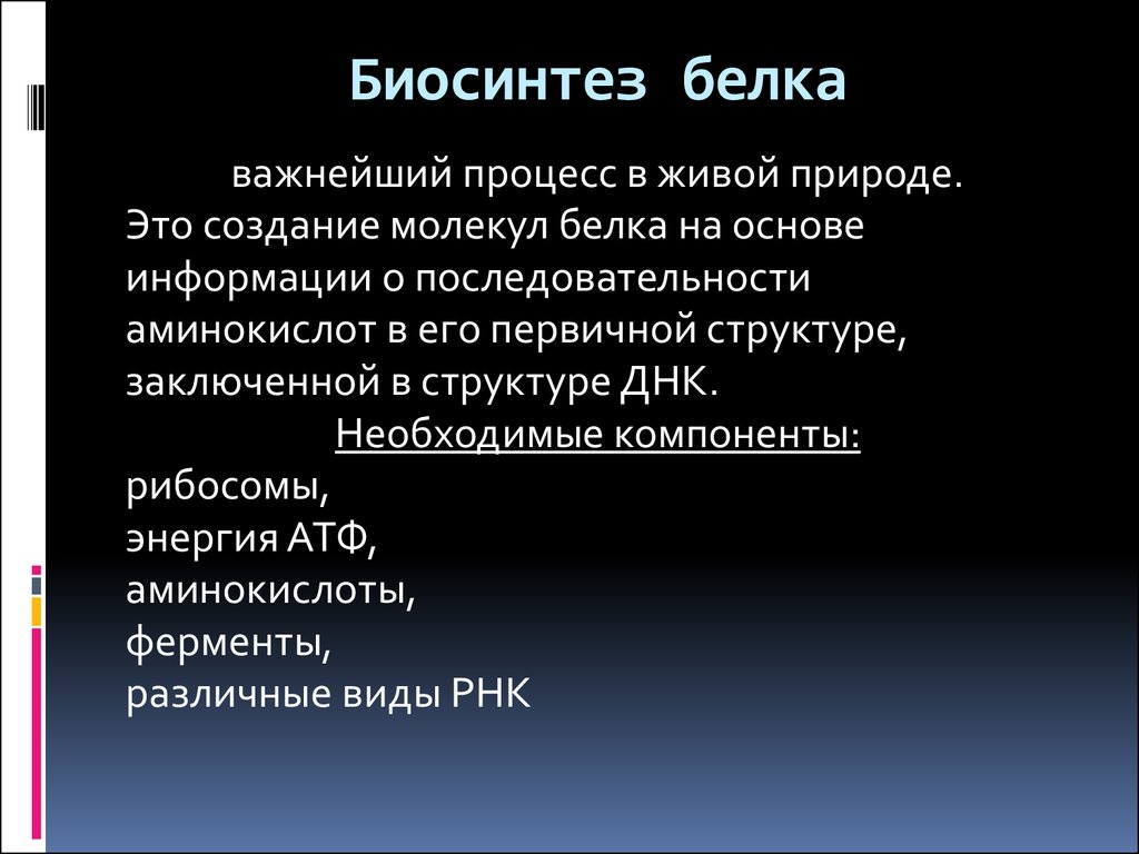 Пластический обмен биосинтез белков презентация