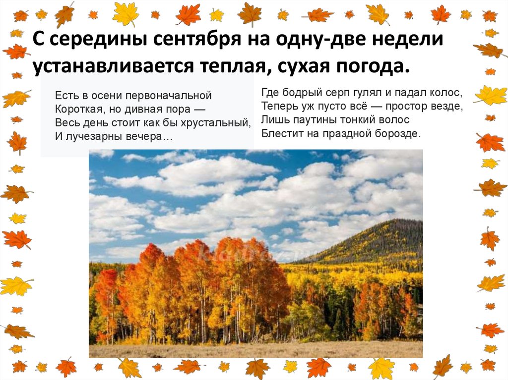 Есть ли осенью. «Есть в осени ПЕРВОНАЧАЛЬНОЙКОРОТКАЯ, но дивная пора…». Осень стояла тёплая и сухая. Весь день стоит как бы Хрустальный и лучезарны вечера. Середина сентября.