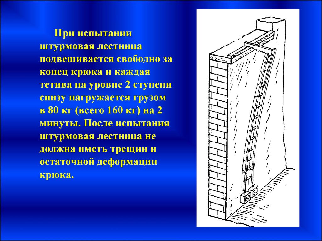 Периодичность испытания пожарных лестниц. Вес пожарной лестницы штурмовки. Испытание лестницы штурмовки. Схема испытания лестницы штурмовки. Лестница-штурмовка испытываться.