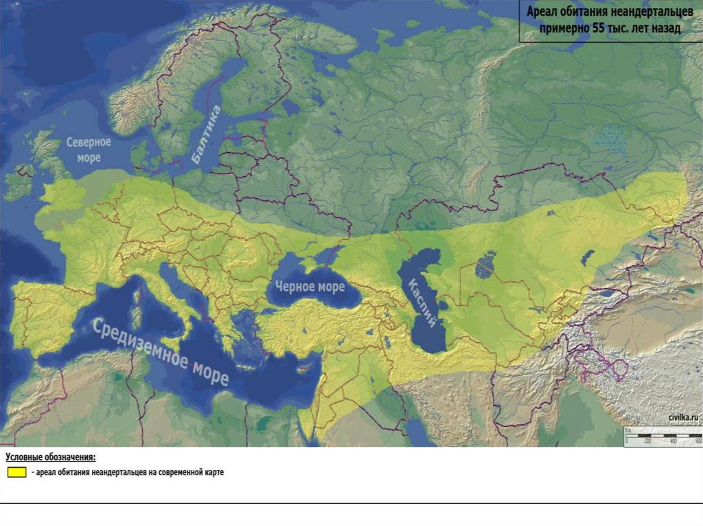 Ареал миграция. Ареал обитания неандертальцев карта. Территории населения неандерталец. Территория расселения неандертальцев. Место обитания неандертальцев.
