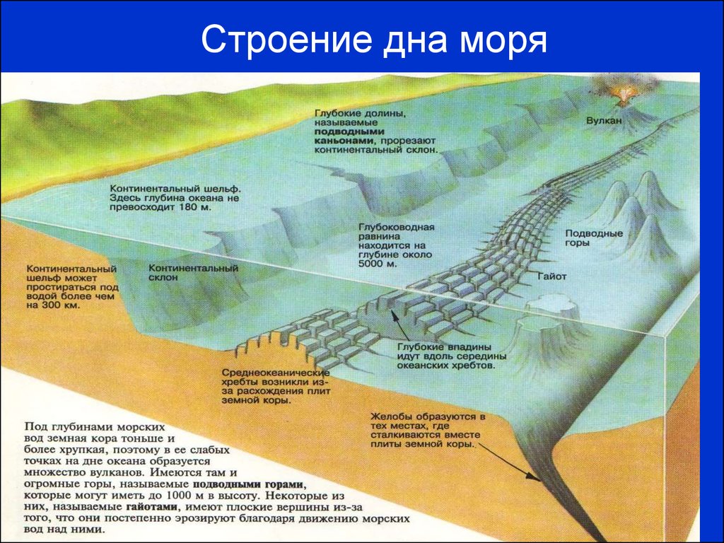 Схема дно мирового океана