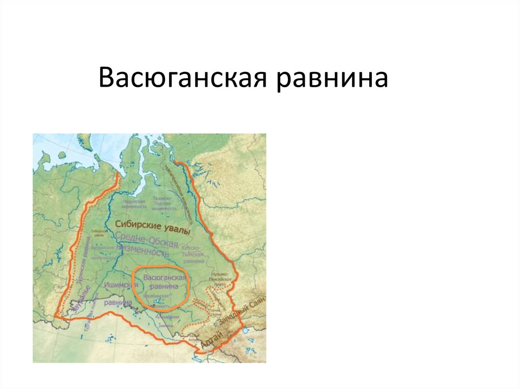Западно сибирская равнина города находящиеся на равнине. Васюганская равнина на карте. Где находится васюганская низменность на карте России. Васюганская низменность на карте России. Васюганская низменность на карте Западной Сибири.