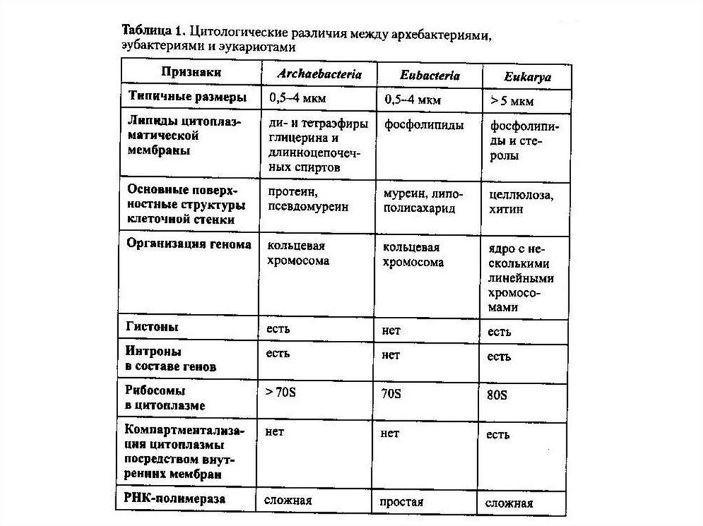 Настоящей таблицы. Таблица архебактерии и оксифотобактерии. Архебактерии эубактерии сравнительная характеристика. Таблица по биологии 7 бактерии. Подцарство архебактерии 7 класс таблица.