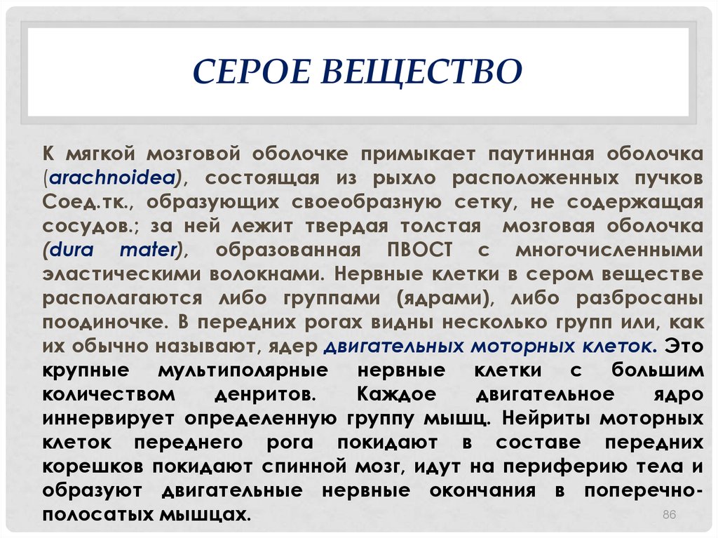 Серое вещество ткань. Серое вещество. Серое вещество головного мозга. Серое вещество головного мозга функции. Серое вещество представляет собой.