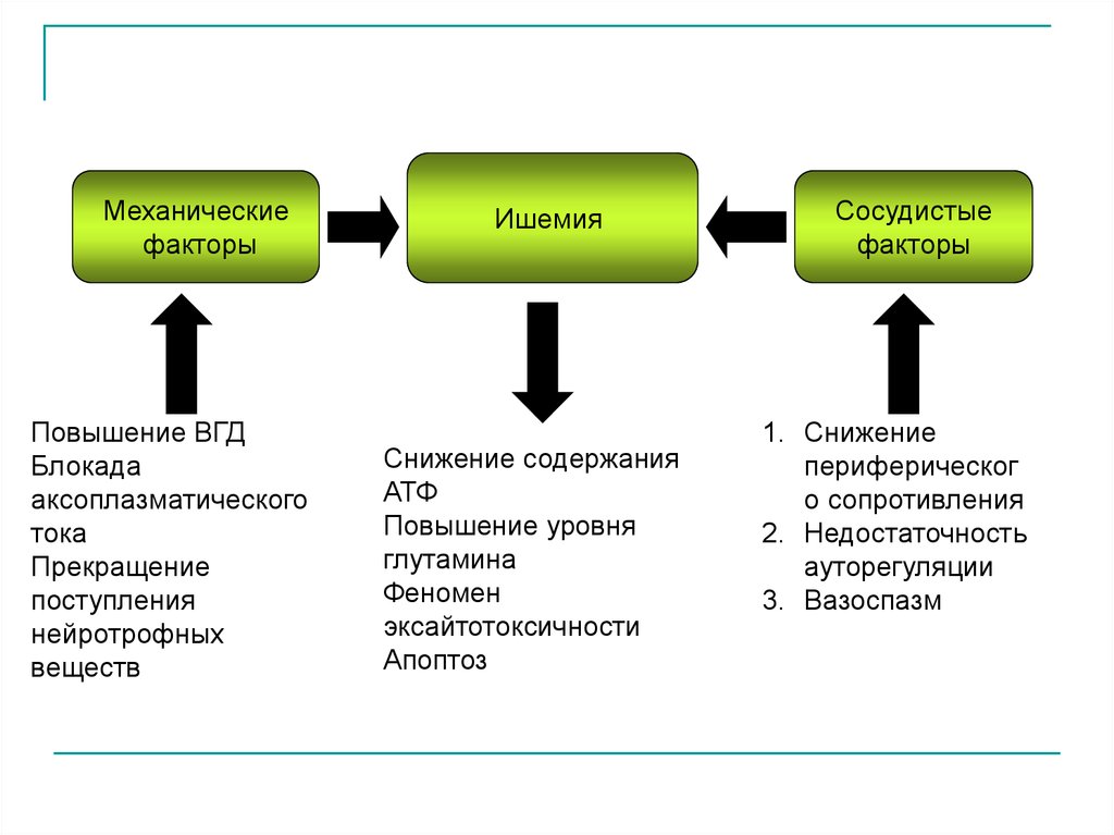 Механические факторы. Факторы повышающие ВГД. Повышение ВГД механизм.