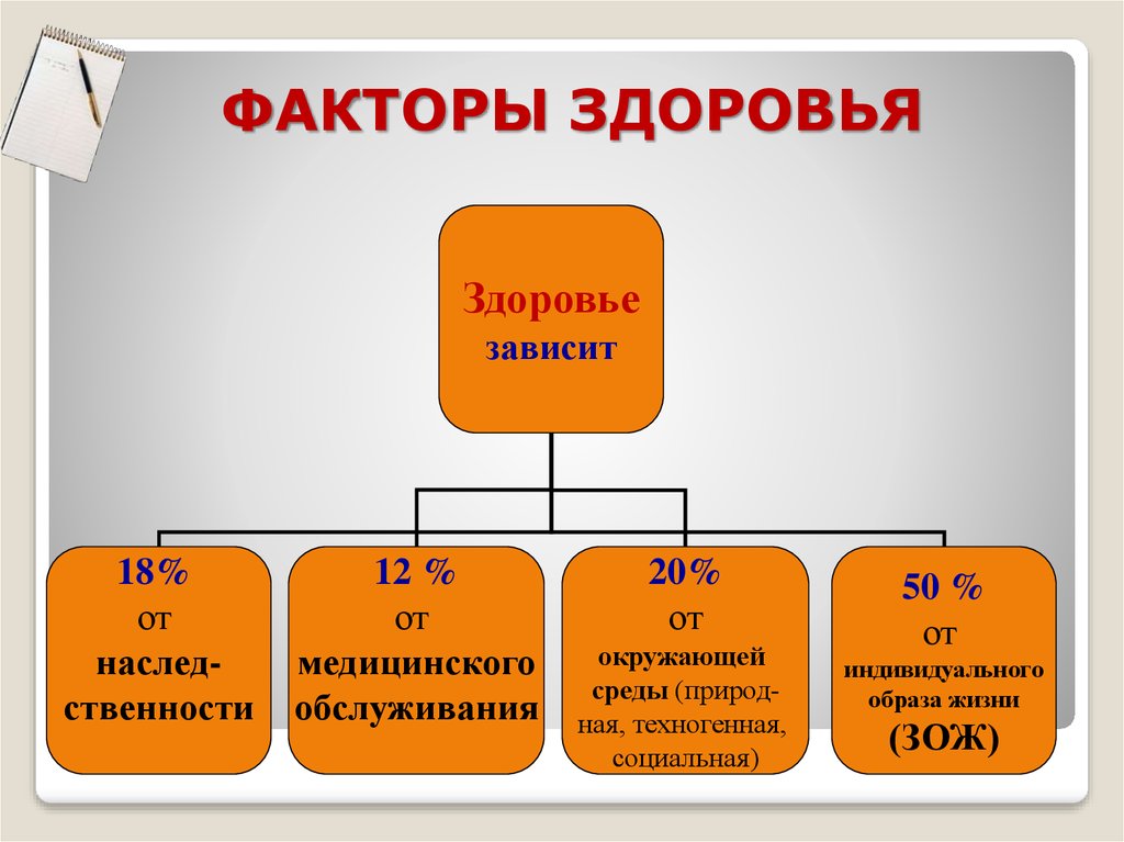 Схема от чего зависит здоровье