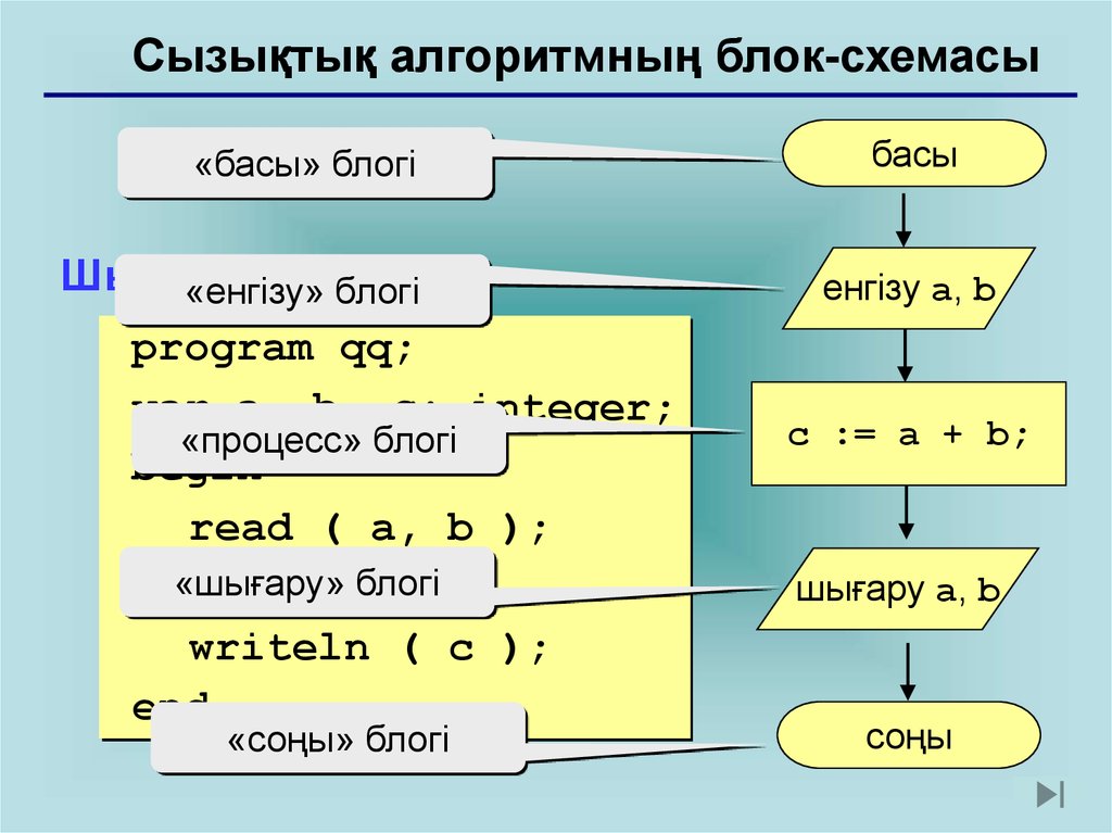 Мәліметтер типтері 6 сынып информатика. Сызықтық алгоритм. Полиномиалдык алгоритмдер.