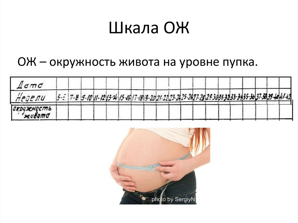 Матка на 21 неделе беременности. Окружность живота при беременности по неделям норма таблица. Окружность живота при беременности 32 недели норма. Обхват живота на 16 неделе беременности норма. Норма окружности живота при беременности 7 недель.