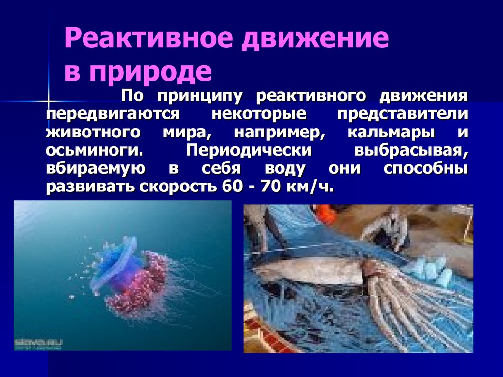 Реактивное движение в природе и технике. Реактивное движение в природе. Примеры реактивного движения в природе. Реактивное движение презентация.