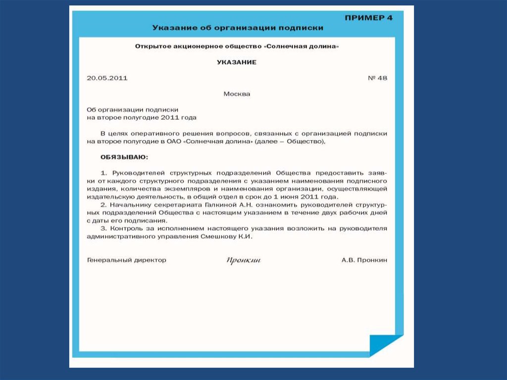 Указание значение. Указание документ. Указание это распорядительный документ. Указание пример. Указание пример документа.