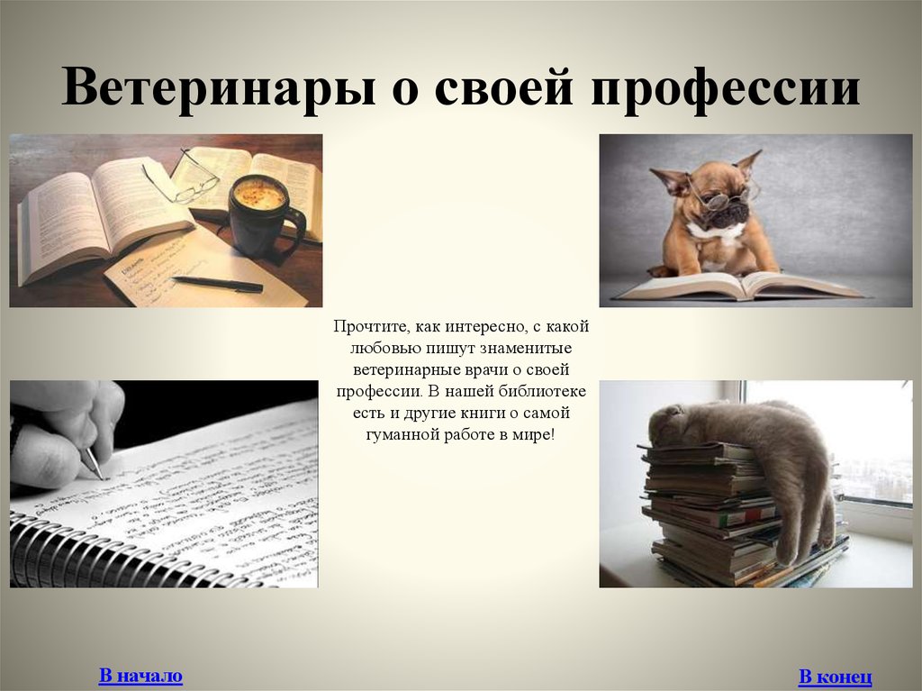 Профессия читать. Ветеринары о своей профессии. Книжная выставка в библиотеке о ветеринарах. Профессия кто читает книги. Выставка для вас первокурсники.