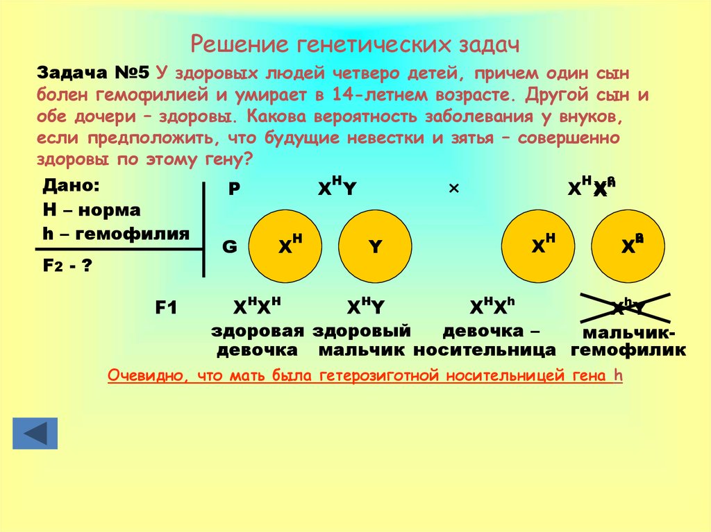 Генетические задачи с рисунками