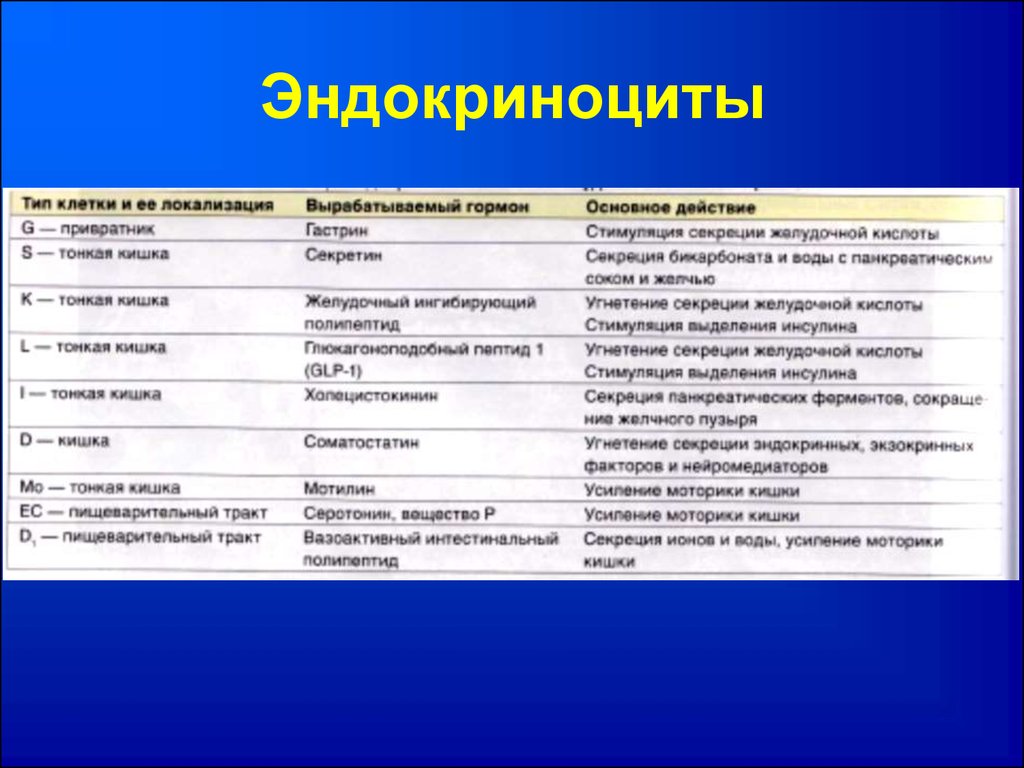 Тип клеток таблица. Эндокриноциты. Типы эндокриноцитов. Эндокриноциты желудка функции. Эндокриноциты тонкой кишки.