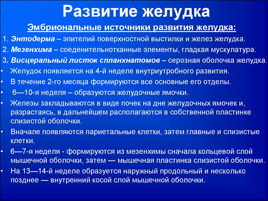 Развитие желудка. Источник развития мышечной оболочки желудка. Желудок развивается из. Эмбриональные источники развития желудка.