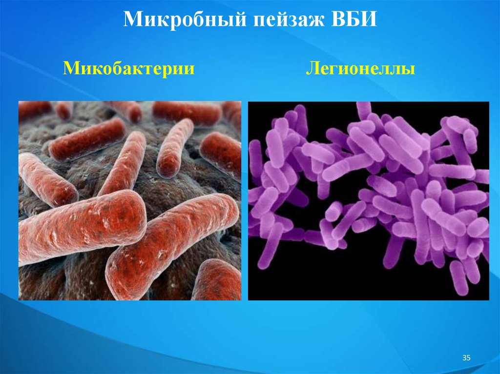 Внутрибольничная инфекция презентация