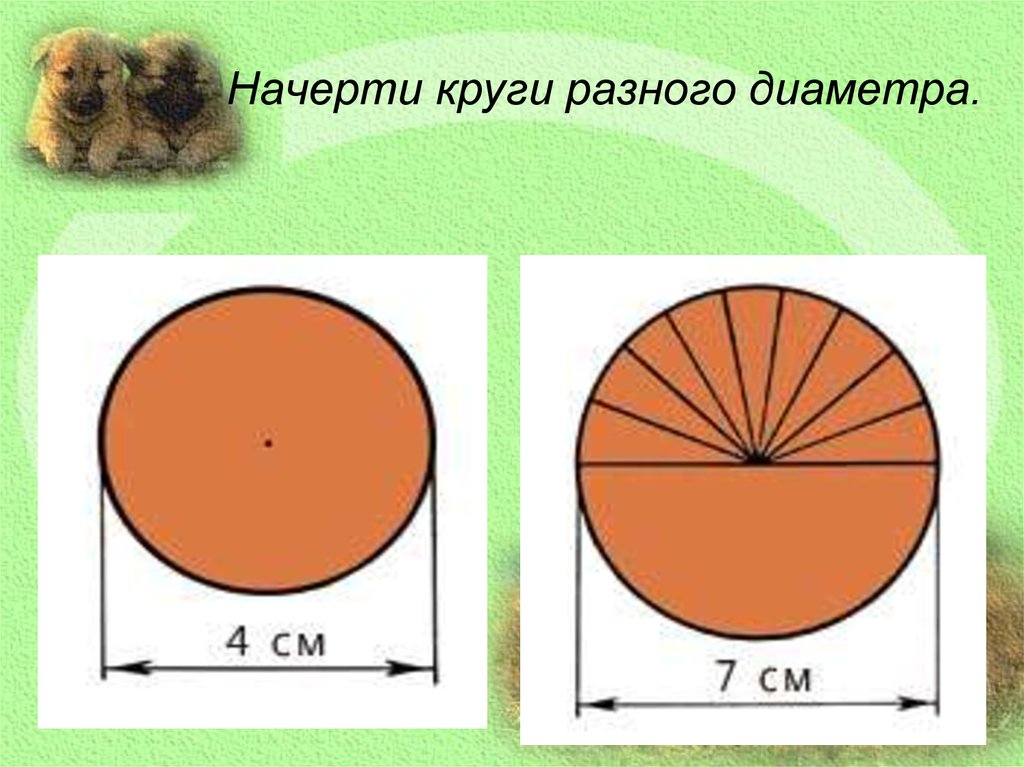 Различных диаметров. Окружности разных диаметров. Начертить 2 окружности разного диаметра. Начертить окружности разных диаметров. Начерти три разных окружности.