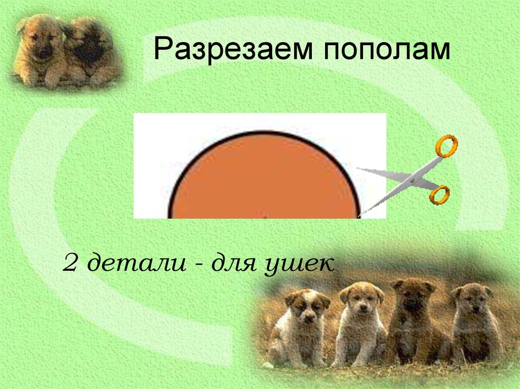 Разрезаем пополам