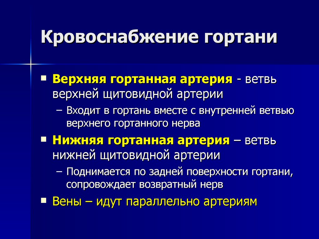 Кровоснабжение гортани схема