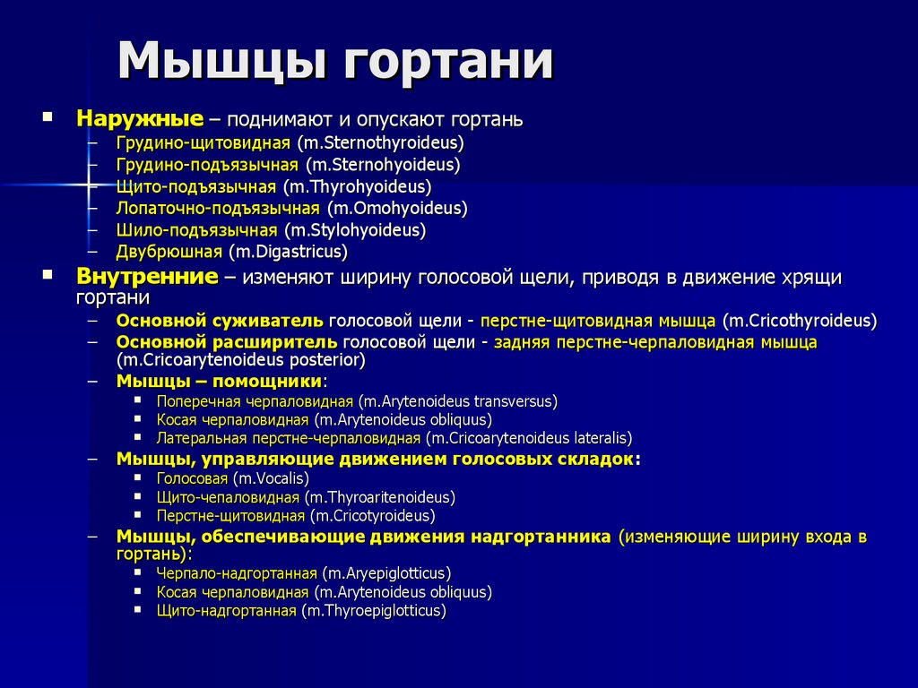 Дал в гортань. Мышцы гортани функции. Мышцы гортани начало прикрепление функция. Конструкторы мышцы гортани функции. Мышцы гортани по функциям.