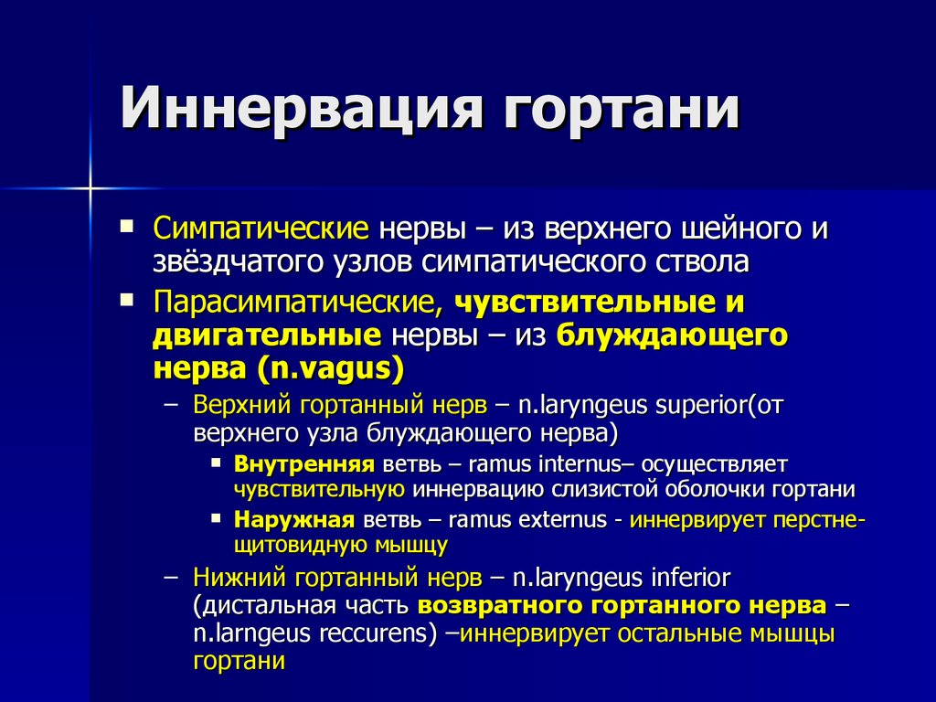 Мышцы иннервируются. Иннервация мышц гортани. Возвратный гортанный нерв иннервация. Иннервация внутренних мышц гортани.