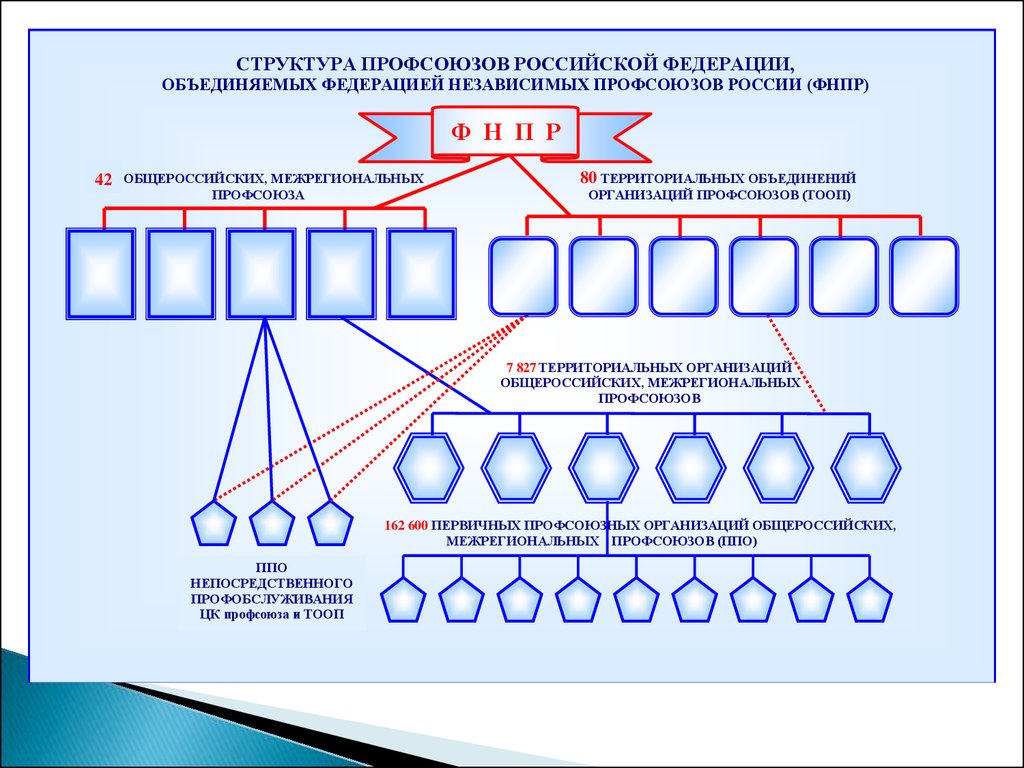 Схема профсоюзной организации структура первичной