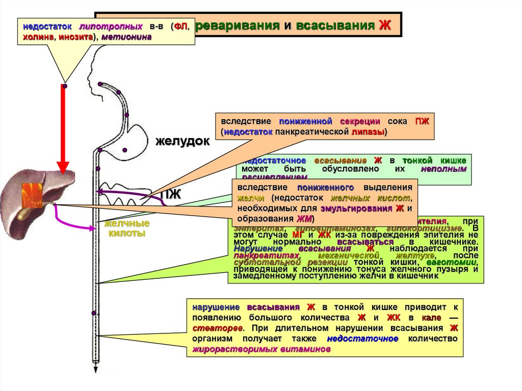 Желчь недостаточно