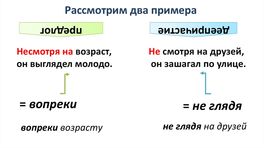 Несмотря как пишется правильно слитно или раздельно