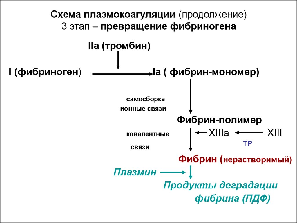 Фибриноген и д димер. Схема образования д димера. Схема превращения фибриногена в фибрин. Схема свертывания крови фибрин. Схема перехода фибриногена в фибрин.