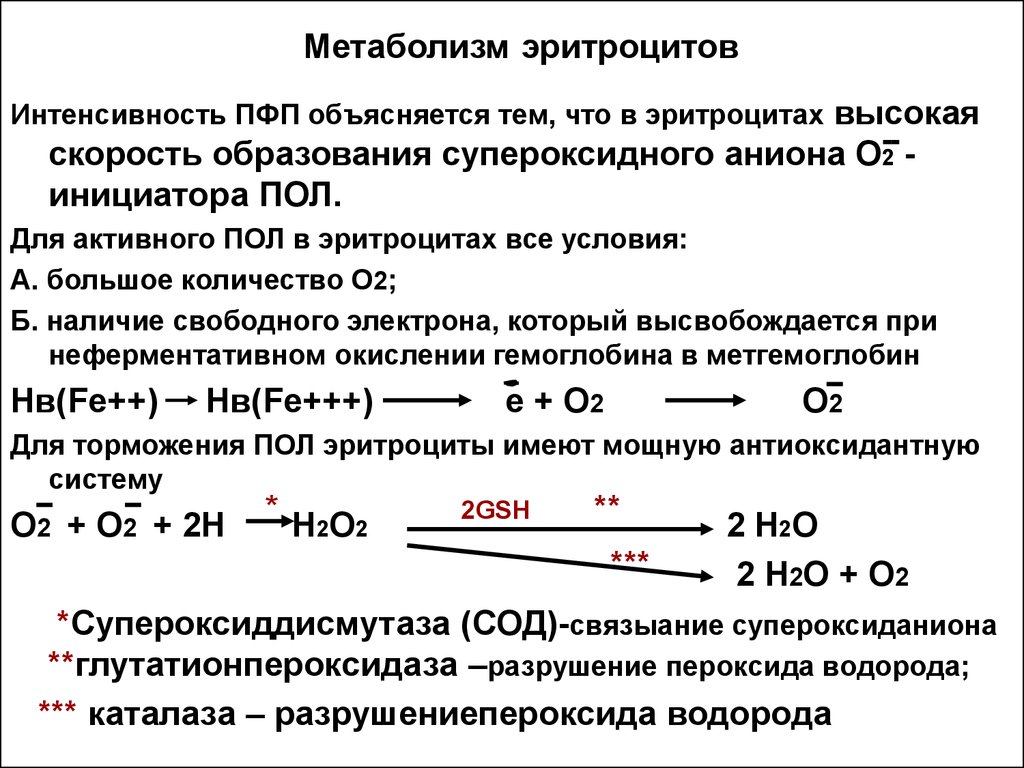 Биохимия эритроцитов. Схему метаболических процессов, протекающих в эритроците. Схема образования супероксидного аниона в эритроцитах. Особенности метаболизма эритроцитов. Особенности обмена веществ в эритроцитах биохимия.