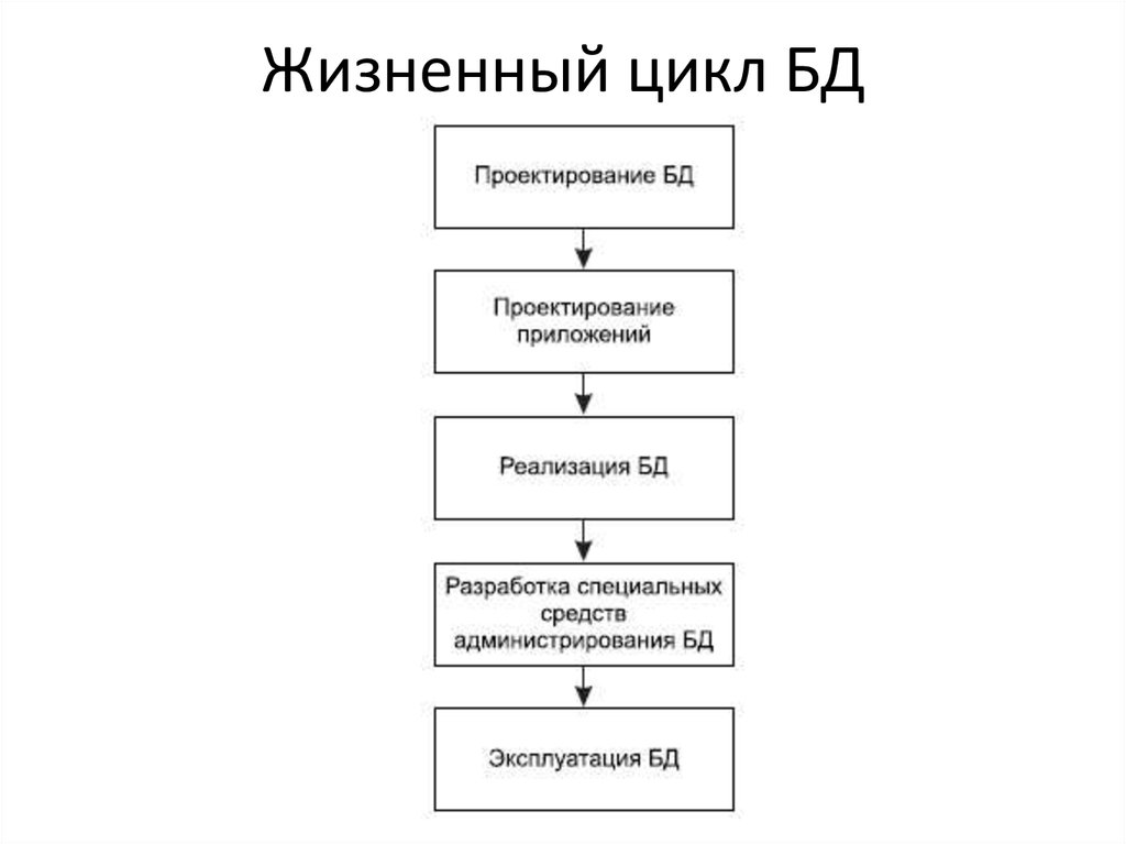 Презентация жизненный цикл базы данных