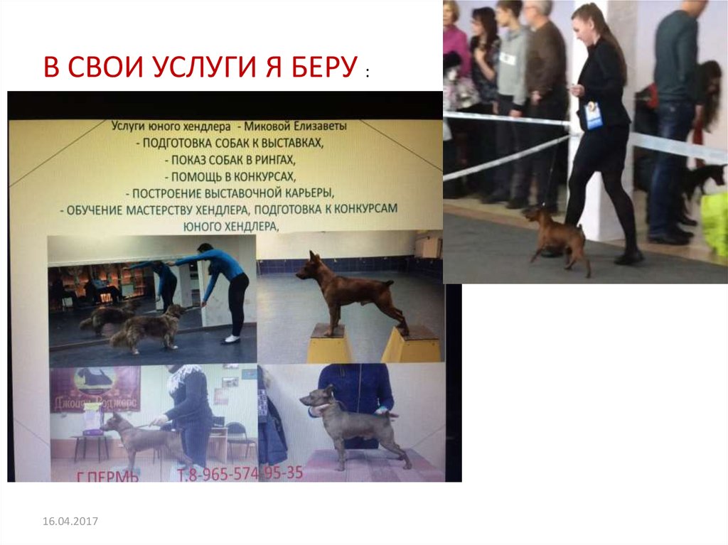 В СВОИ УСЛУГИ Я БЕРУ :