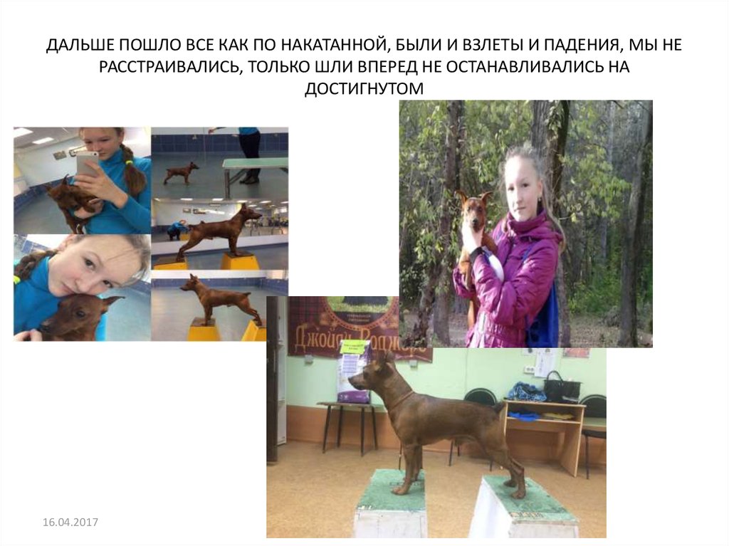 ДАЛЬШЕ ПОШЛО ВСЕ КАК ПО НАКАТАННОЙ, БЫЛИ И ВЗЛЕТЫ И ПАДЕНИЯ, МЫ НЕ РАССТРАИВАЛИСЬ, ТОЛЬКО ШЛИ ВПЕРЕД НЕ ОСТАНАВЛИВАЛИСЬ НА ДОСТИГНУТОМ