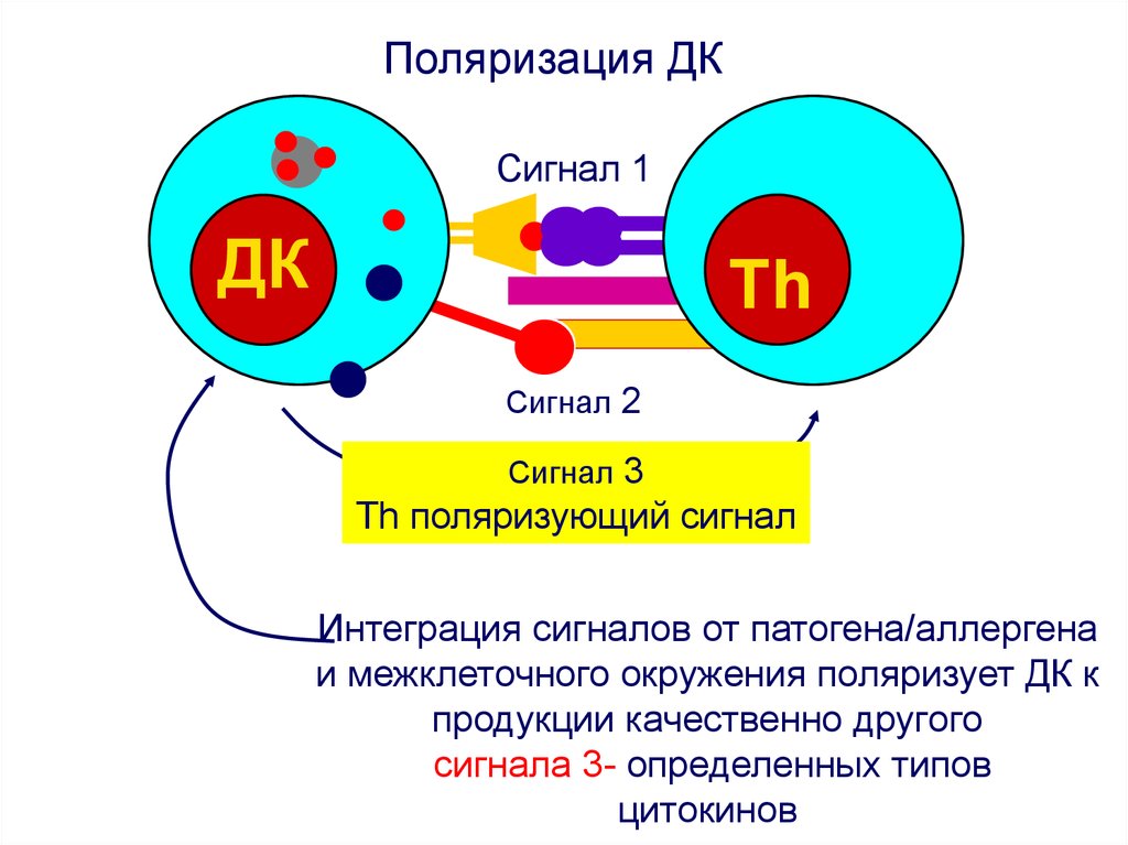 Бдс 02 моторчик схема